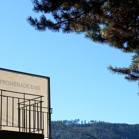 Top Five See & Bergblick - Haus Seepromenade Döbriach Exteriér fotografie